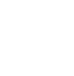 gapro ornament right